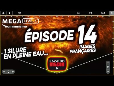 Le mode Landscape sur Mega Live Imaging 2 : 1 silure en pleine eau...