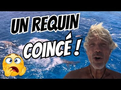 Quand la frnsie tourne mal, un requin se retrouve coinc sous le bateau !#54