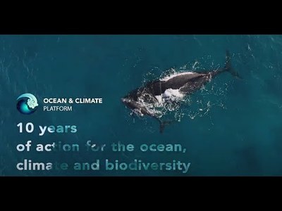 Ocean & Climate Platform - 10 years of action for the ocean, climate and biodiversity