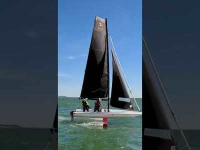 BirdyFish | Foiling freedom