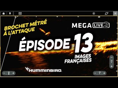 Le mode Forward sur Mega Live Imaging 2 : 1 brochet mtr