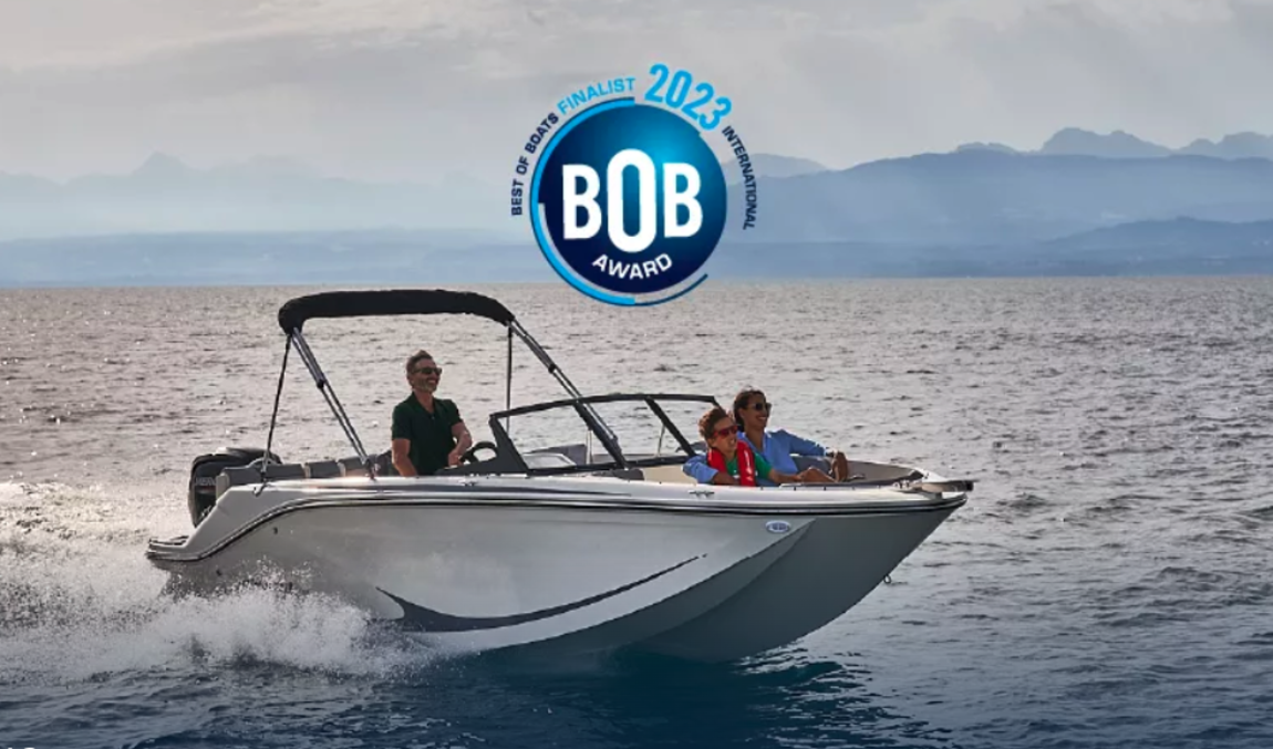 Bayliner M19